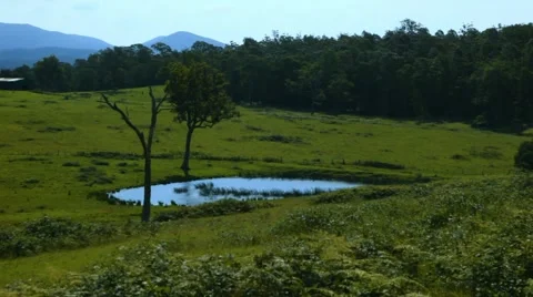 Small lake Video stock 42485357