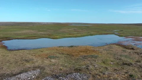 Small lake 库存影片 75312176