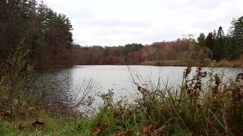 Small lake Stock Footage 93782605