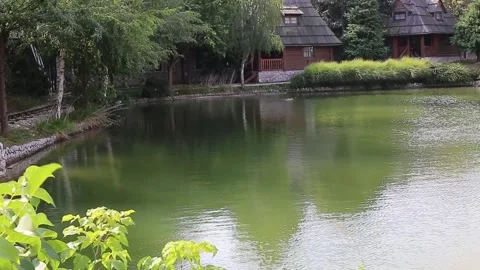 A small lake Stock Footage 141373696