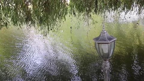 A small lake Stock Footage 141374845