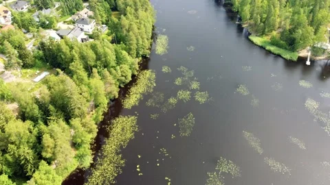 Small Lake Stock Footage 199810274