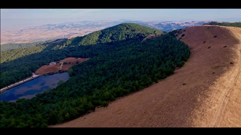 Small lake Stock Footage 261394810