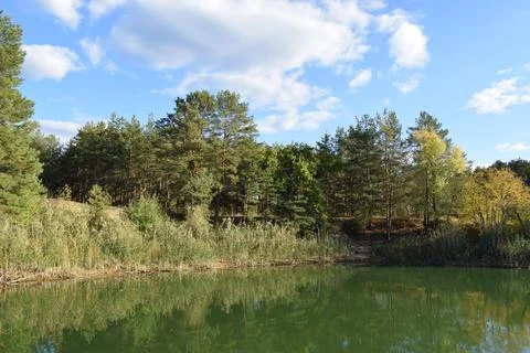 Small lake in the forest during summer day, Stock Photos