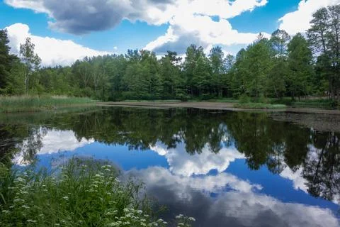 Small lake in the forest during summer. Sky reflections in water Stock Photos