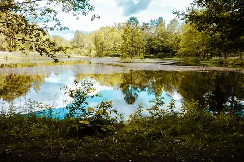 Small lake in the forest during summer. Sky reflections in water Stock Photos