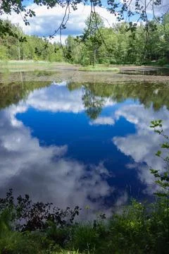 Small lake in the forest during summer. Sky reflections in water Stock Photos