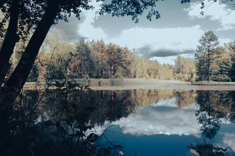 Small lake in the forest during summer. Sky reflections in water Stock Photos