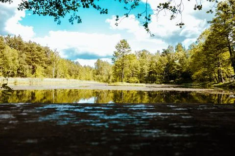 Small lake in the forest during summer. Sky reflections in water Stock Photos
