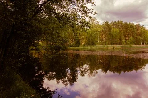Small lake in the forest during summer. Sky reflections in water Stock Photos