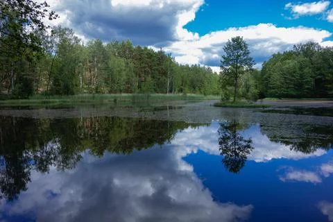 Small lake in the forest during summer. Sky reflections in water Stock Photos