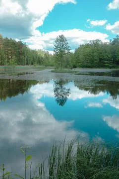 Small lake in the forest during summer. Sky reflections in water Stock Photos