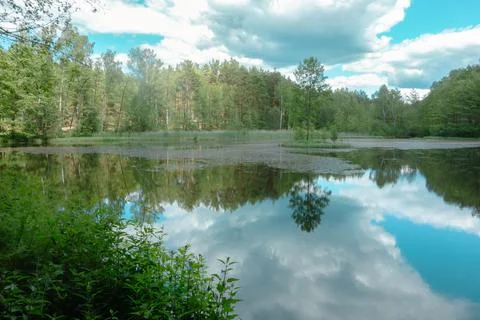 Small lake in the forest during summer. Sky reflections in water Stock Photos