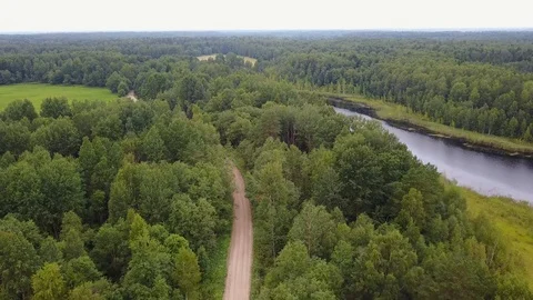 Small lake in the forest Stock Footage 102707556