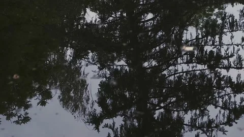 Small lake in the forest Stock Footage 135376199