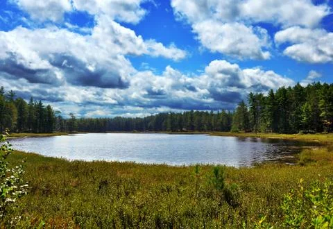 Small lake in the forest Stock Photos