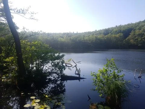 Small lake in a forest Stock Photos