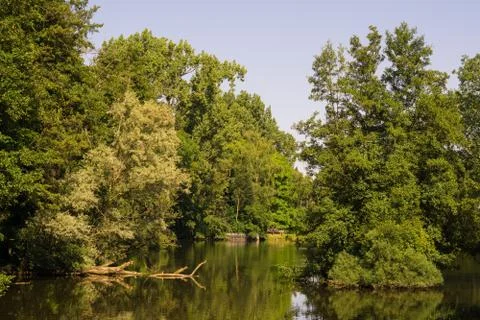 A small lake in a forest Foto stock
