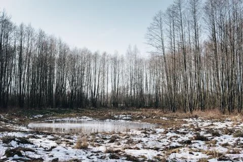 Small lake in the forest Stock Photos