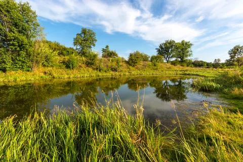 Small lake in forest Stock Photos