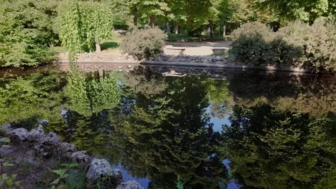 A small lake of fresh water in the immense Retiro Park in Madrid, a World Vídeos de archivo 337299065