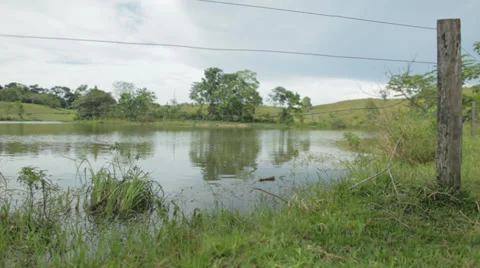 SMALL LAKE WITH GREEN GRASS Stock Footage 27986172