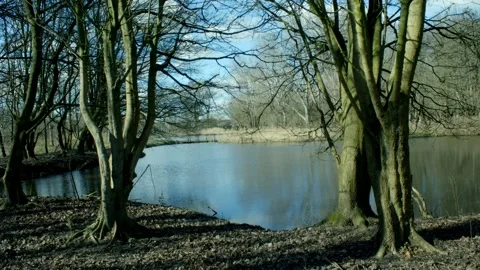 Small Lake Inside A Landscape Video stock 234232412
