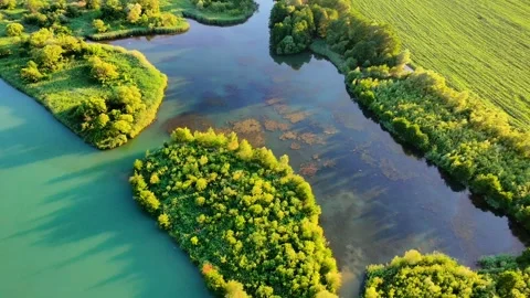 Small lake inside a river Stock Footage 311810759