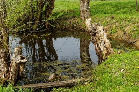 Small lake in middle of the field Stock Photos