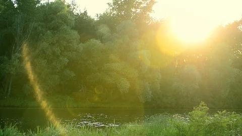 Small lake or river in summer on a sunny day Stock Footage 87966957