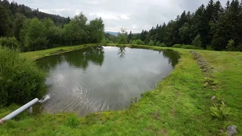Small lake overfly with Green Forest background and clouds 库存影片 253971652