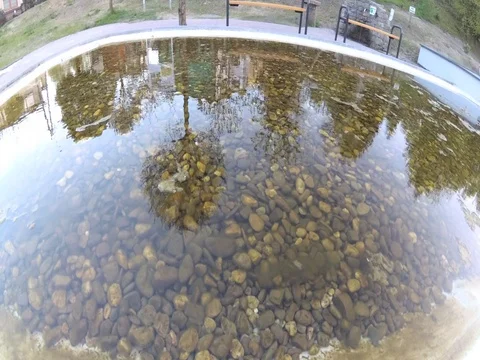 A small lake in the park Stock Footage 75110360