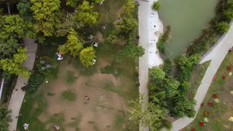 Small lake in the park Stock Footage 168567672