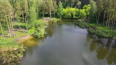 A small lake in the Park. The reflection of sky and trees in the water of the Видео 110269794