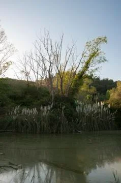 Small lake 写真素材