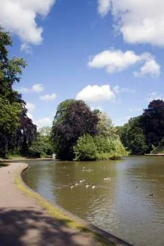 Small lake. Stock Photos