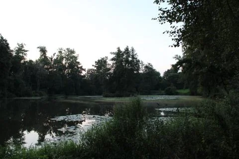 Small lake. Stock Photos