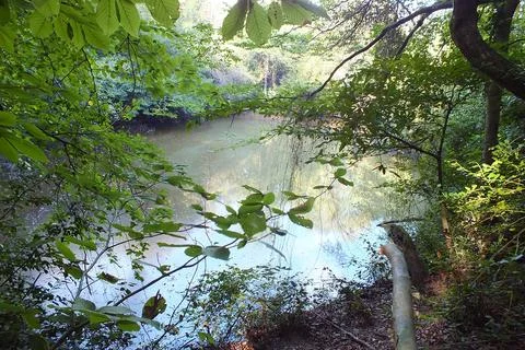 The small lake Stock Photos