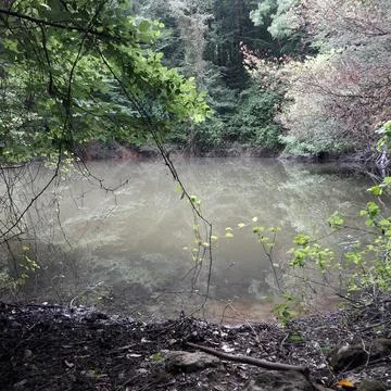 The small lake Stock Photos