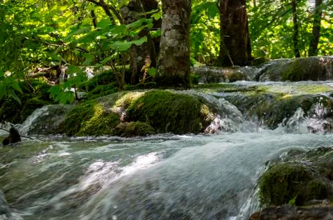 Small Lake Plitvice Stock Photos