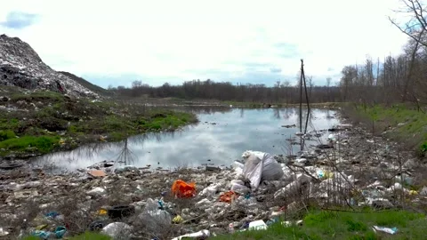 The small lake is polluted with garbage plastic and flew Stock Footage 157705987