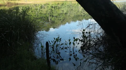 SMALL LAKE WITH REFLECTION # 3 Video stock 29982296