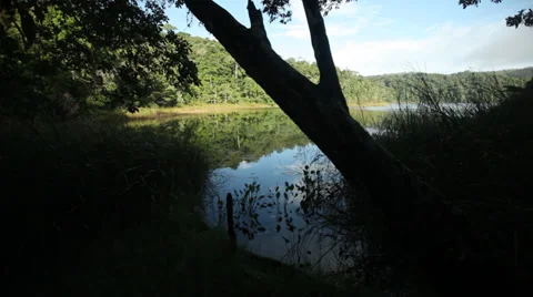 SMALL LAKE WITH REFLECTION Stock Footage 29984404