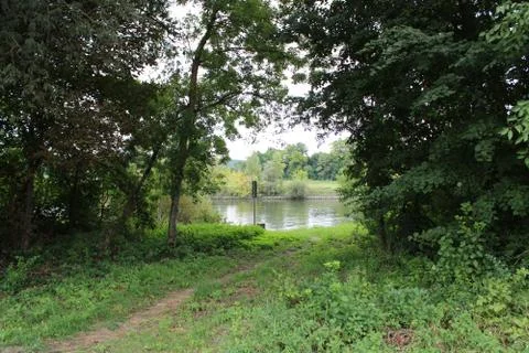 Small lake seen through trees Stock Photos