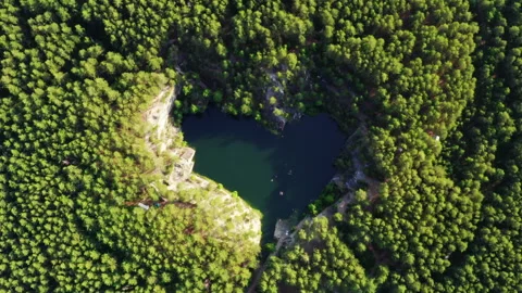 Small lake in the shape of a heart in the forest Stock-Footage 196226908
