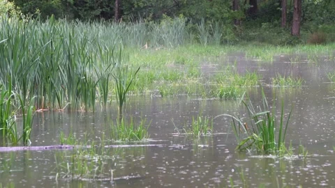 Small lake with some haze Stock Footage 132297701