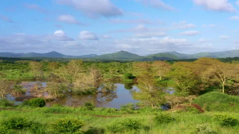 Small lake surrounded by lush vegetation Stock Footage 161807437