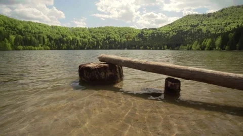 Small lake surrounded with pine forest Stock Footage 49927494