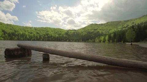 Small lake surrounded with pine forest Stock Footage 49927498