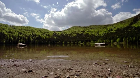 Small lake surrounded with pine forest Stock Footage 49927501